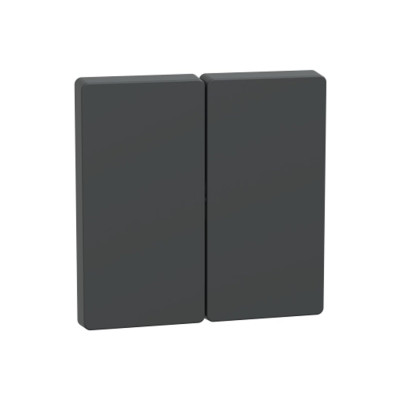 Клавиша MERTEN MTN3400-6034 D-Life 2-ная антрацит