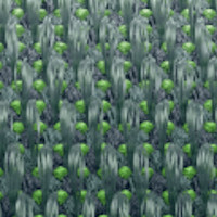 Apple Watch SE 2024 GPS 44mm Starlight Aluminium Case with Lake Green Sport Loop,Model A2723