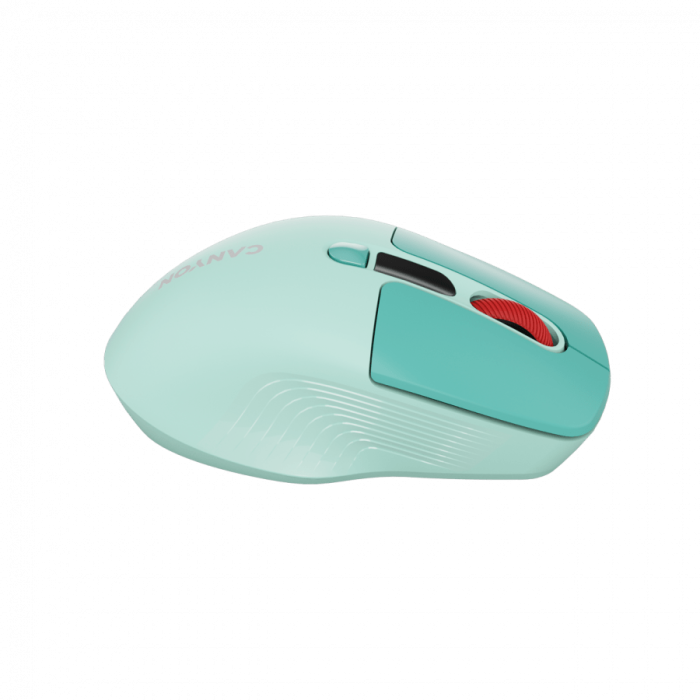 CANYON mouse MW-26 LCD Silent Dual Mode Wireless Green