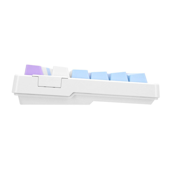 KeyBoard USB, Acer OKW304, 100 buttons, rus/lat, White/Blue/Purple