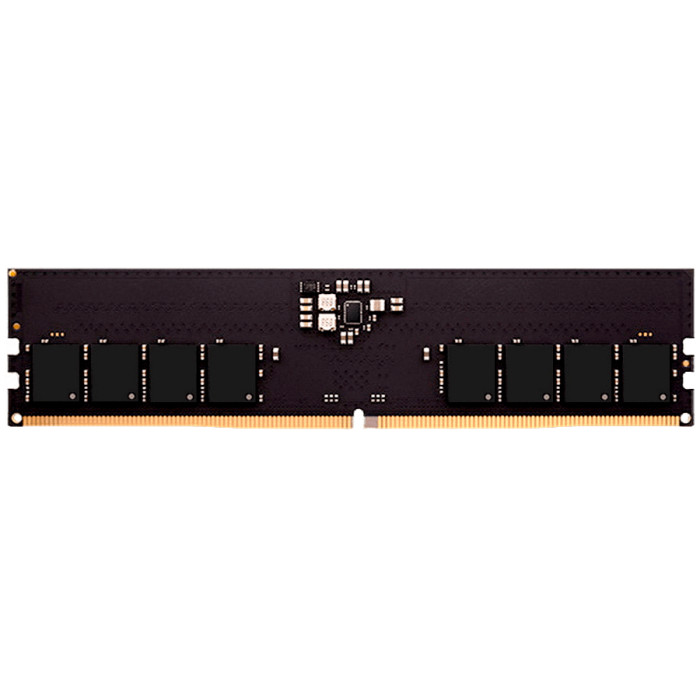 Netac Basic DDR5-5600 16GB C46