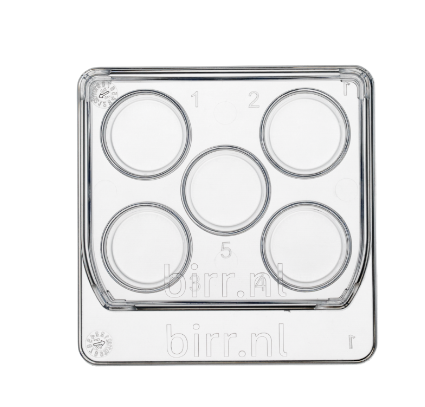 Square 5 well dish, per 6 - 30x6/box