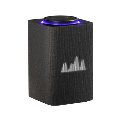 Умная колонка Станция Макс с Zigbee Черный