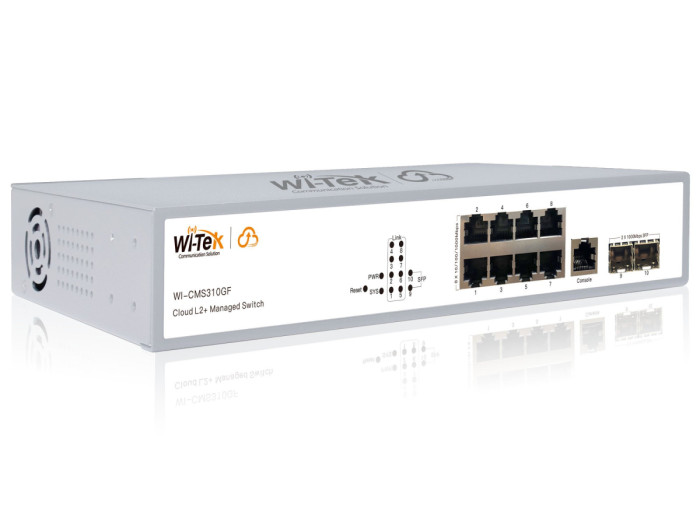 Wi-Tek WI-CMS310GF