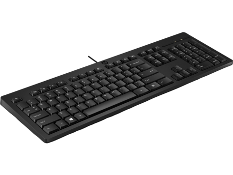 Клавиатура HP 125 USB Wired Keyboard 266C9A6