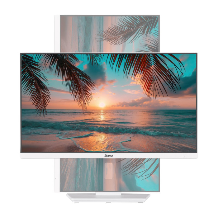 LCD 23.8" Iiyama ProLite XUB2492HSU-W6, 1920x1080 IPS, 4ms, 250 cd/m2, 1300:1, HDMI/DP