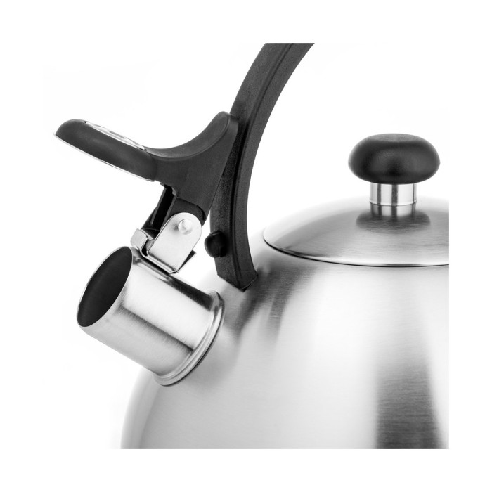 Чайник, LARA, LR00-65, Матовый, Объем 2.5 л, Нержавеющая сталь, Индукционное капсулированное дно, Нейлон.ручка, Стальной/Черный