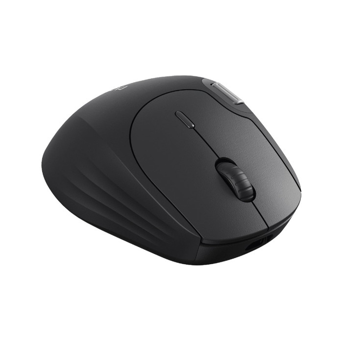 Компьютерная мышь Rapoo MT560 Black