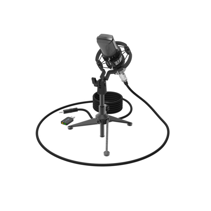 Microphone Ritmix RDM-160, 1000 Ohm, 20-20000Hz, 132dB, XLR -> 3.5mm/USB, 2.5m cable, black