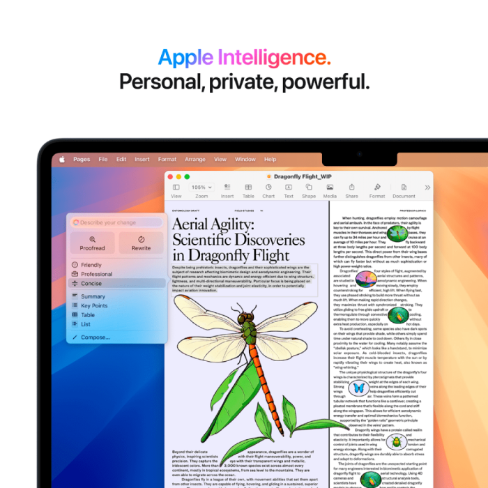 13-inch MacBook Air: Apple M4 chip with 10-core CPU and 10-core GPU, 24GB, 512GB SSD - Midnight,Model A3240