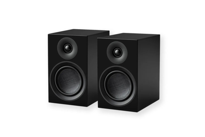 PRO-JECT Акустическая система Speaker Box 5 E Carbon САТИНОВЫЙ ЧЕРНЫЙ EAN:9120122298374 (Пара)