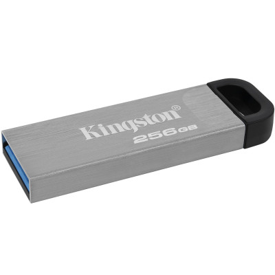 USB flash 256GB Kingston DTKN, DTKN/256GB, USB 3.2, silver