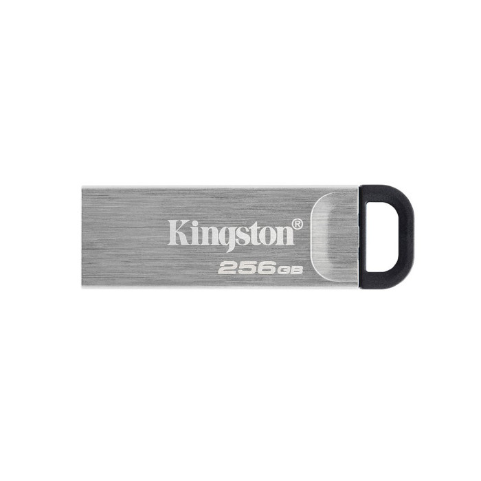 USB-накопитель Kingston DTKN/256GB 256GB Серебристый