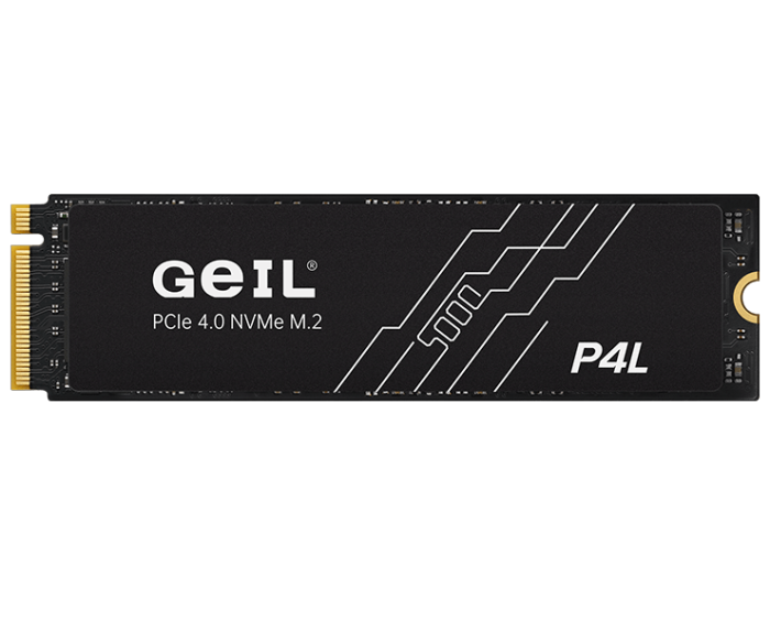 Твердотельный накопитель 1000GB SSD GEIL P4L M.2 2280 PCIe4.0 NVMe R5000MB/s W2700MB/s P4LFD23C1TBD