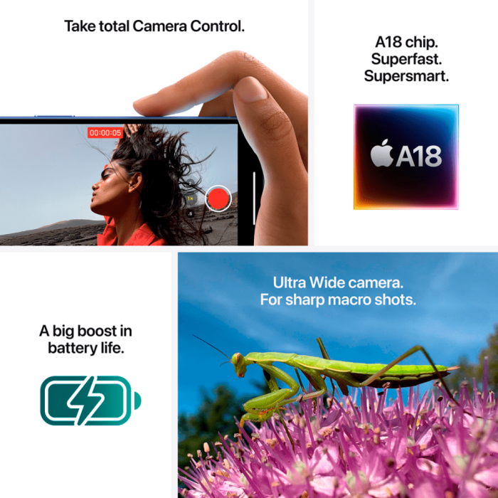 iPhone 16 Plus 256GB Pink,Model A3290