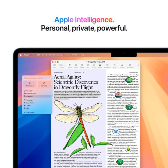 13-inch MacBook Air: Apple M4 chip with 10-core CPU and 10-core GPU, 24GB, 512GB SSD - Sky Blue,Model A3240