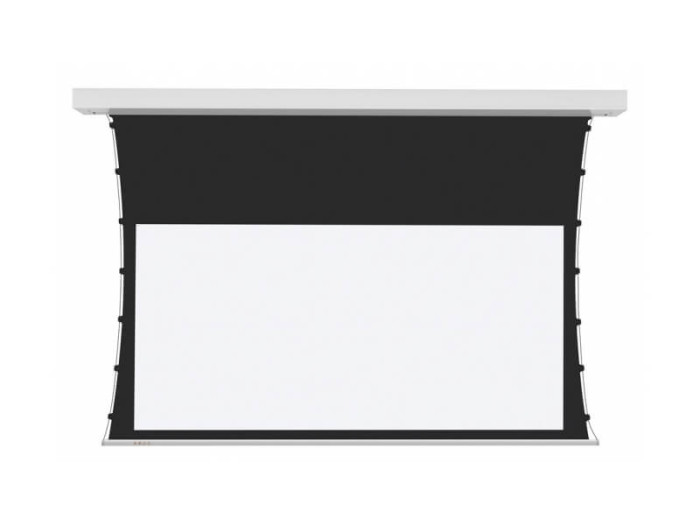 PROscreen Экран для проектора TCT9110 (2435х1370)