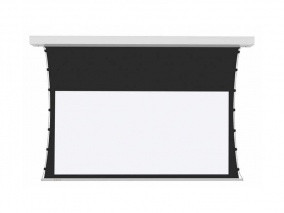PROscreen Экран для проектора TCT9150 (3321х1868)