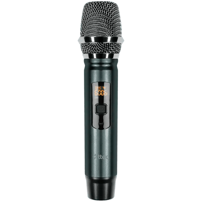 ttec Wireless 2 way  Mic System+Dual Channel receiver