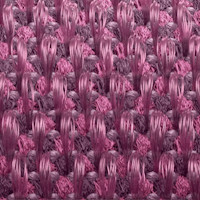 Apple Watch Series 10 GPS 42mm Rose Gold Aluminium Case with Plum Sport Loop,Model A2997