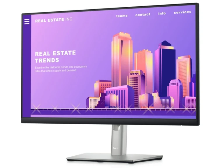Монитор Dell P2422H (210-AZYX)