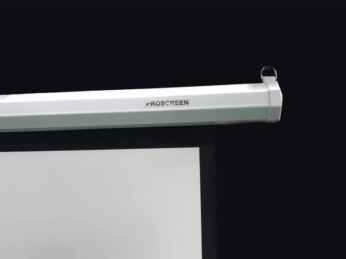 PROscreen Экран моторизованный MLE9120