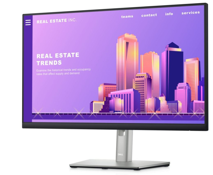 Монитор Dell P2422H (210-AZYX)